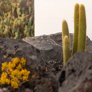 https://casa-alice.in-canary-islands.com
